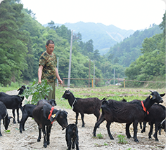 ��ҳ|Ҽ����EDF���¹ٷ���վ