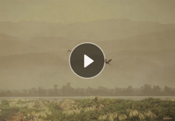 ��ҳ|Ҽ����EDF���¹ٷ���վ