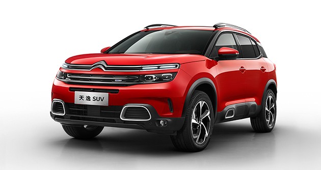 ����ѩ��������